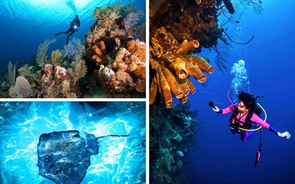 Cayman Islands attractions