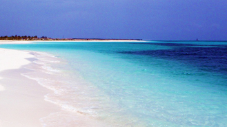 Folk Reserach Center 