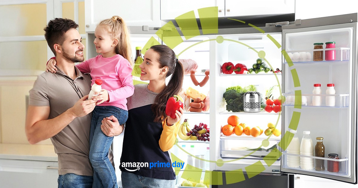 Gadget Rids Stinky Fridge Smells