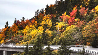 The 8 Most Visited Parks In The USA