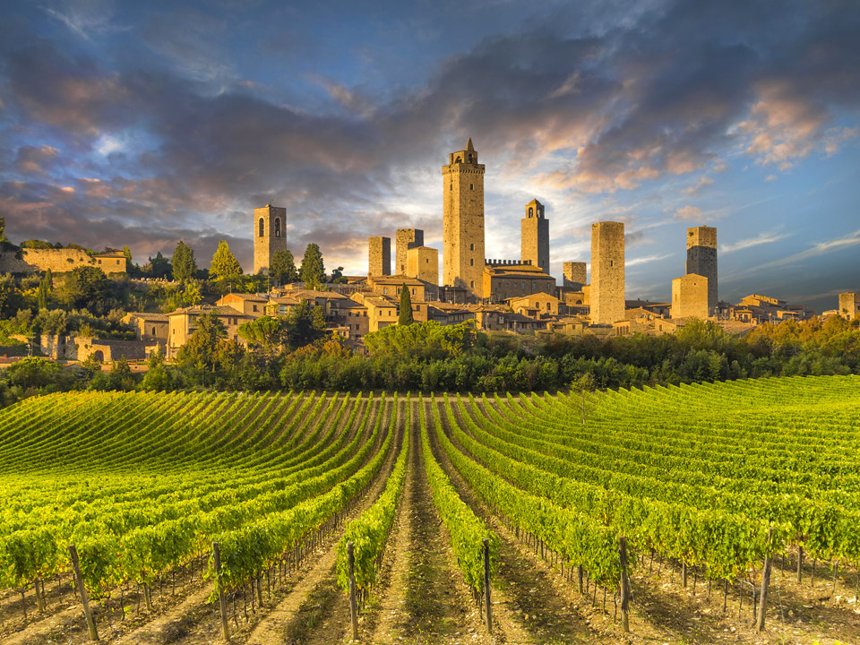 Horseback Riding Adventure with lunch in a Winery of San Gimignano