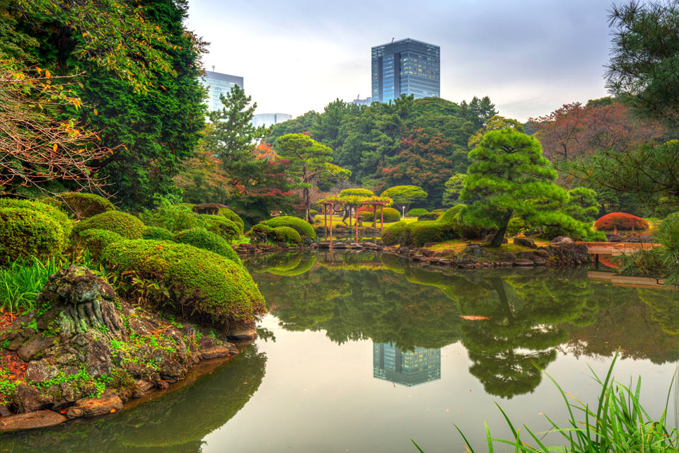 Shinjuku Gyoene a.k.a the Shinjuku Park , Tokyo, Japan