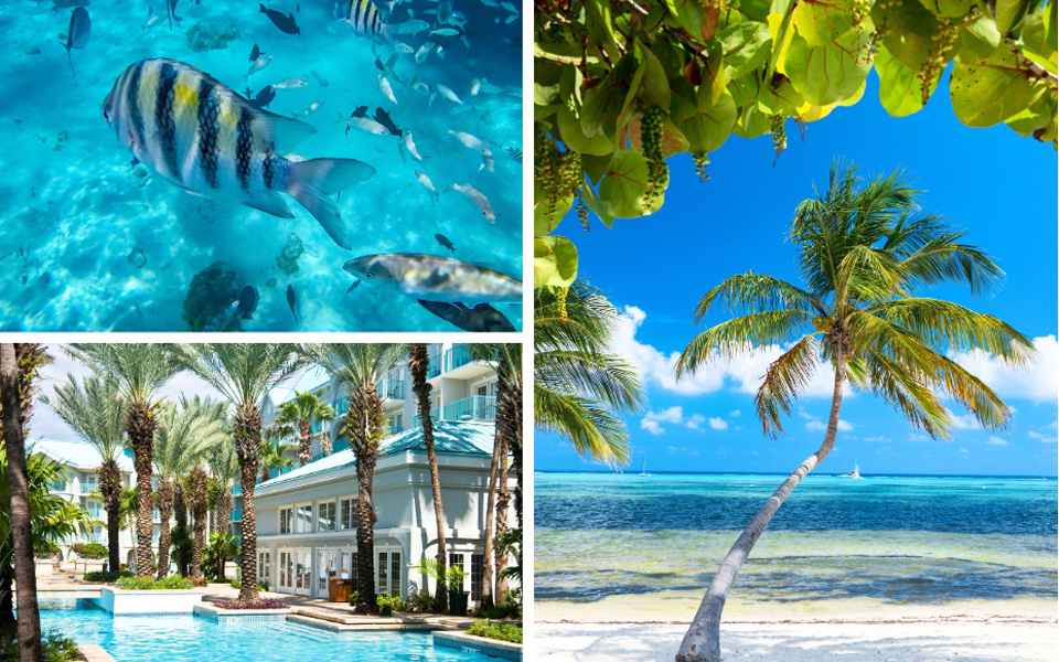 The Caribbean's Cayman Islands