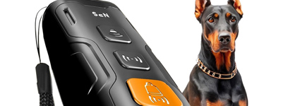 Top Deals Alert! These 7 Products Are Holding Onto Their Big Discounts This February